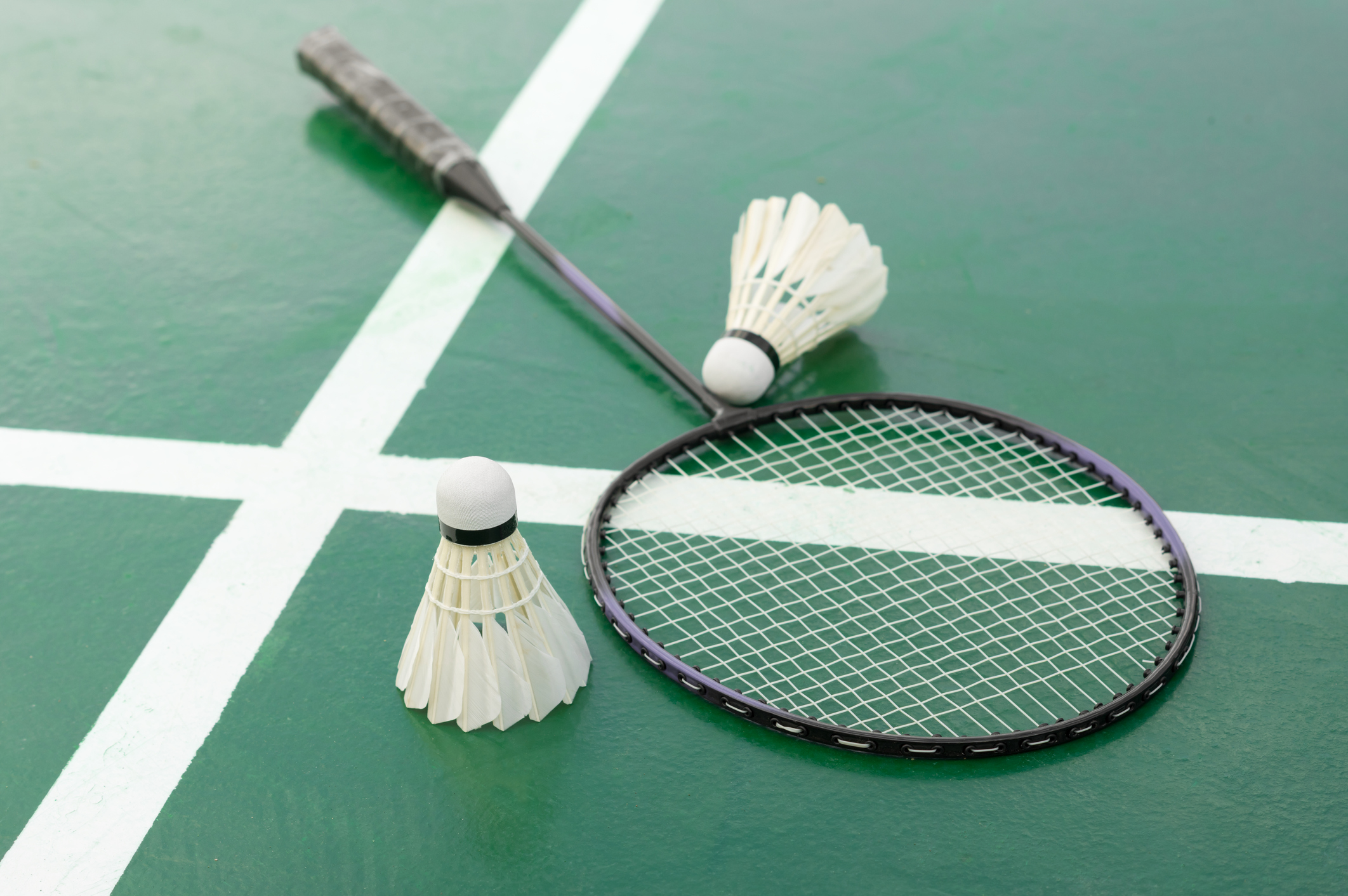 Badminton racket and shuttlecocks on a sports courts